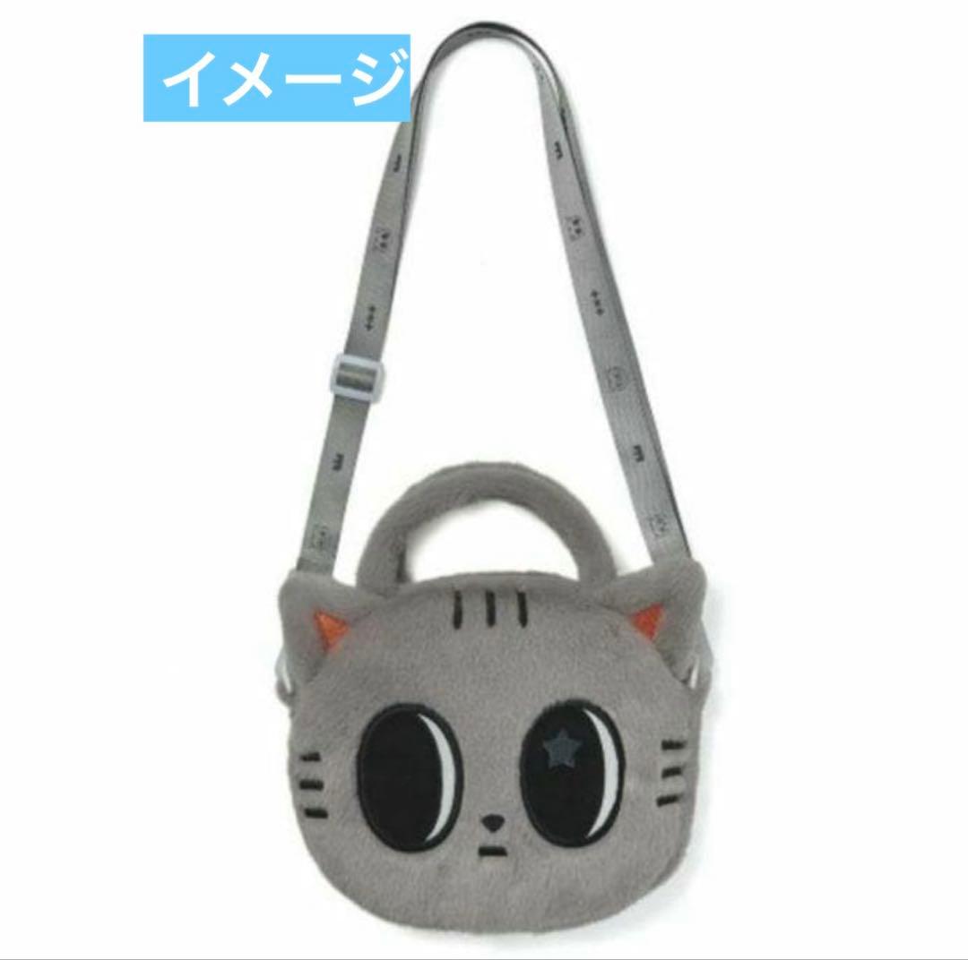 新品未開封　TXT PPULBATU テヒョン　クロスバッグ　ダゴニャン