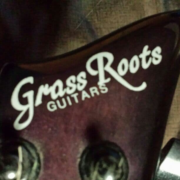 グラスルーツのギター