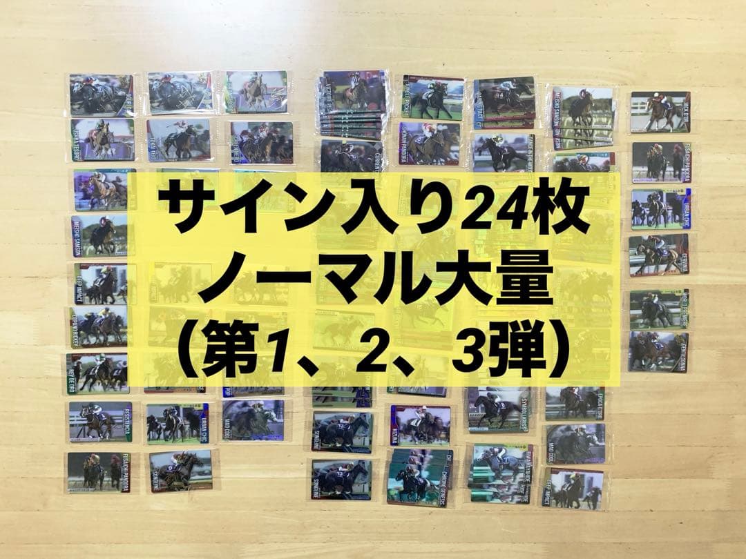 サイン24枚＆ノーマル大量 第1、2、3弾（R） サラブレッドホースコレクション