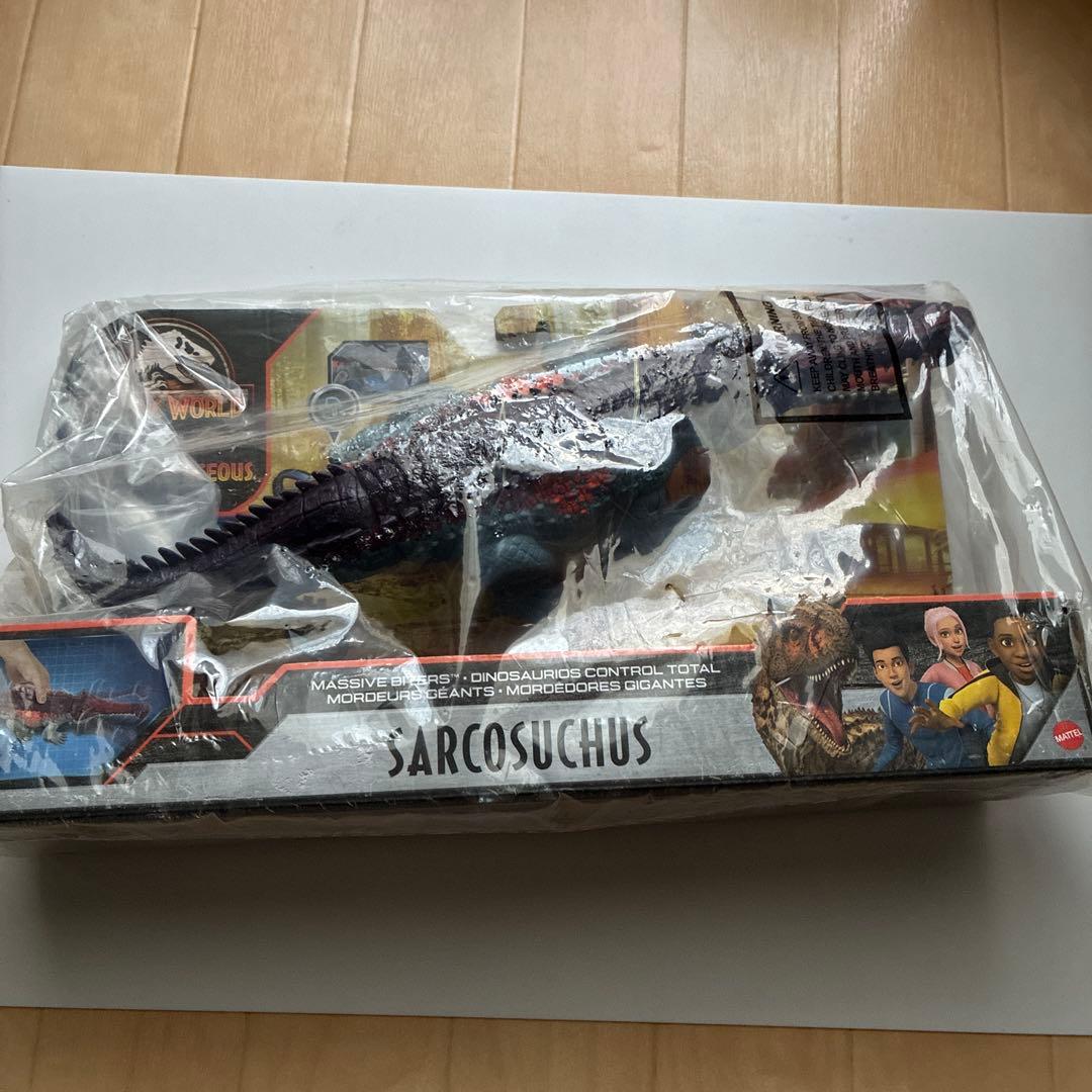 マテル　サルコスクス