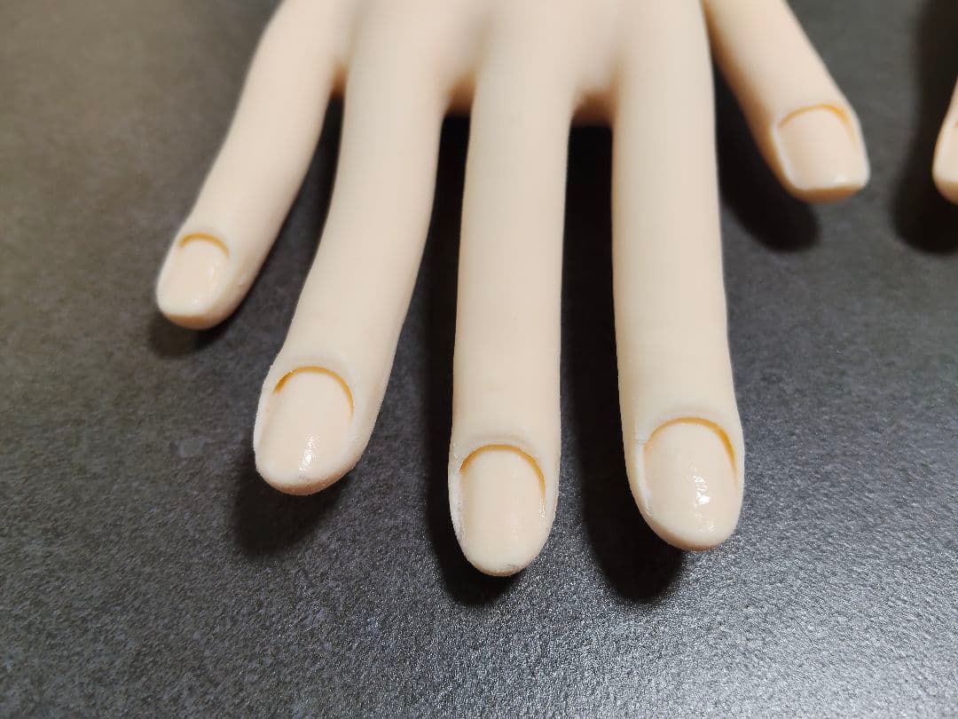 JNEC認定モデルハンド　骨折なし