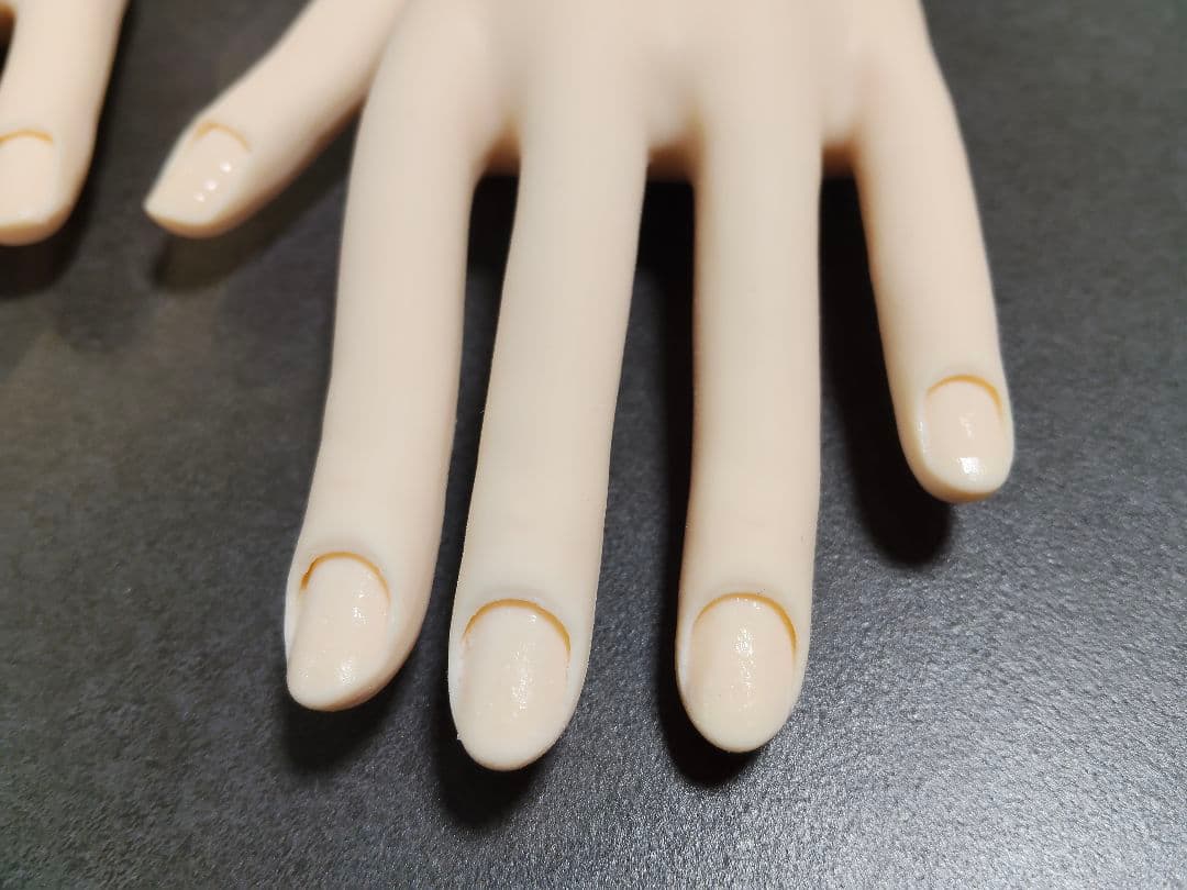 JNEC認定モデルハンド　骨折なし