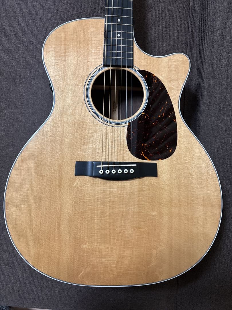 Martin & Co. アコースティックギター GPCPA4 Rosewood