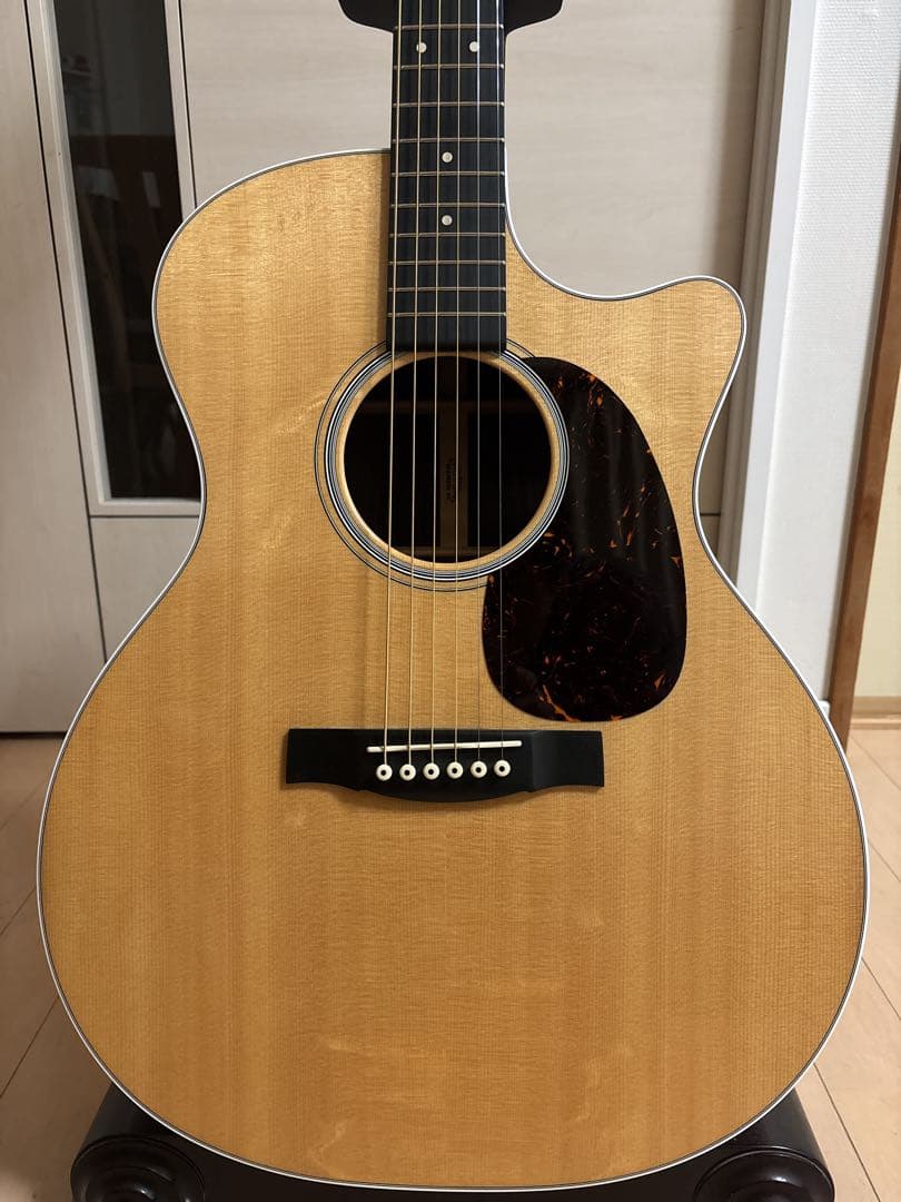 Martin & Co. アコースティックギター GPCPA4 Rosewood