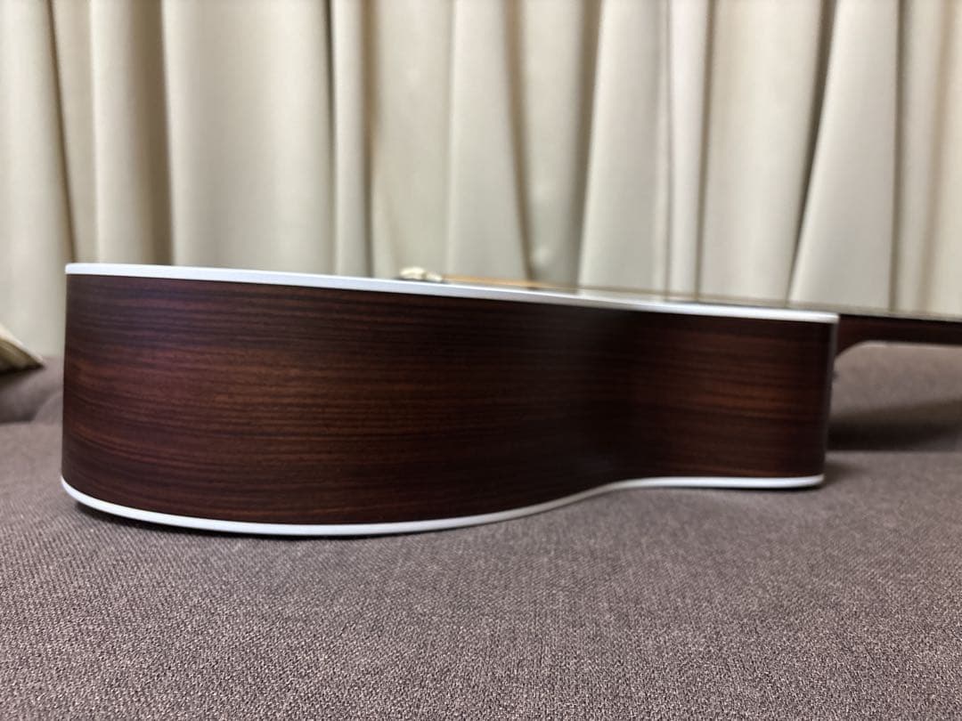 Martin & Co. アコースティックギター GPCPA4 Rosewood