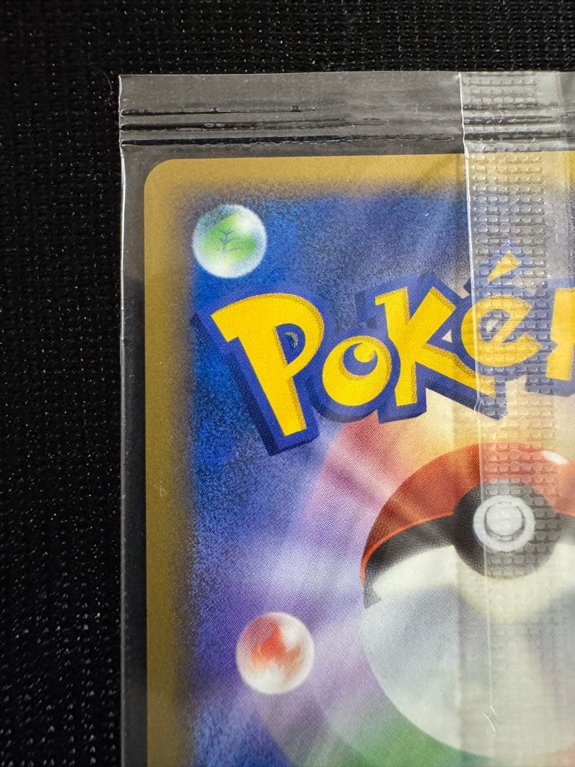 未開封 ポケパークのゴンベ PROMO 040/PCG-P わんぱくトレイン