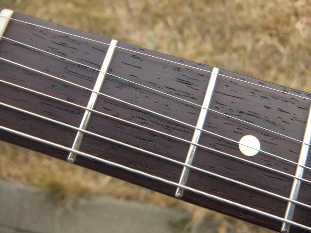 Fujigen NST 200 ラッカー　マダガスカルローズ　ダンカン