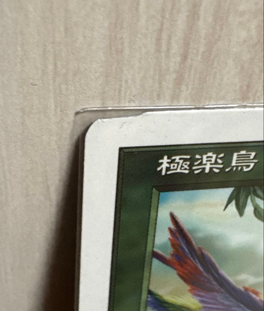 MTG 極楽鳥 7版 ミスカット カットエラー カットミス エラーカード 日本語