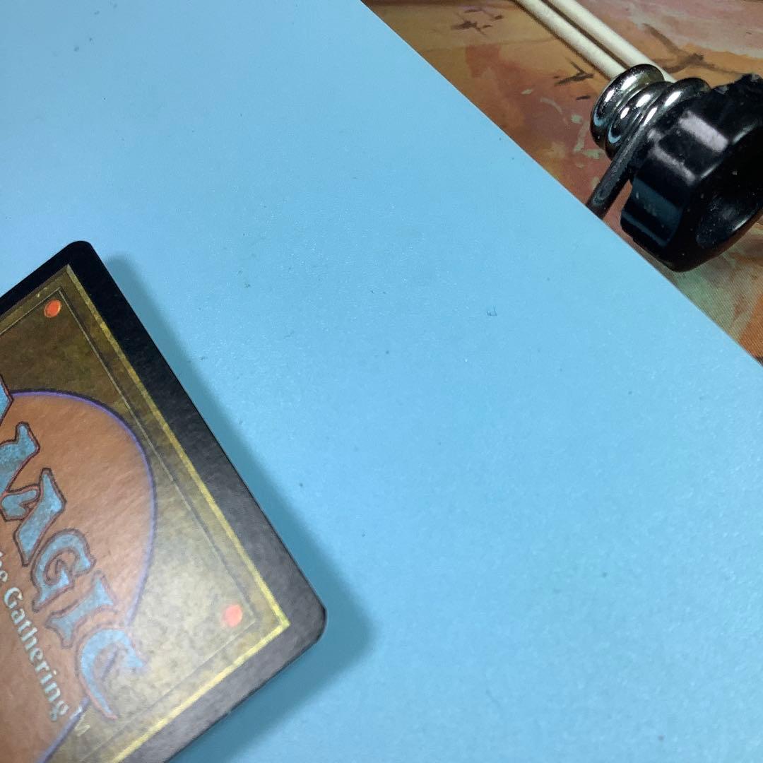 食物連鎖/Food Chain MMQ日本語foil