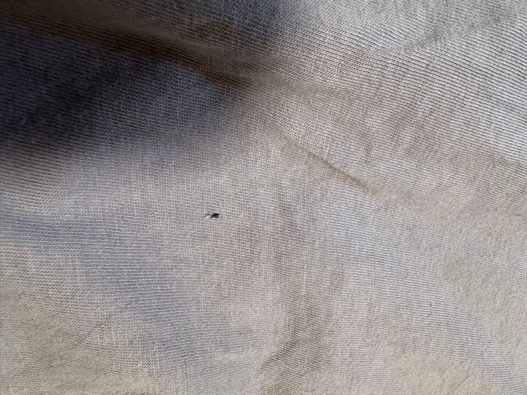 Rick Owens リックオウエンス　ダークシャドウ　サルエルパンツ　S