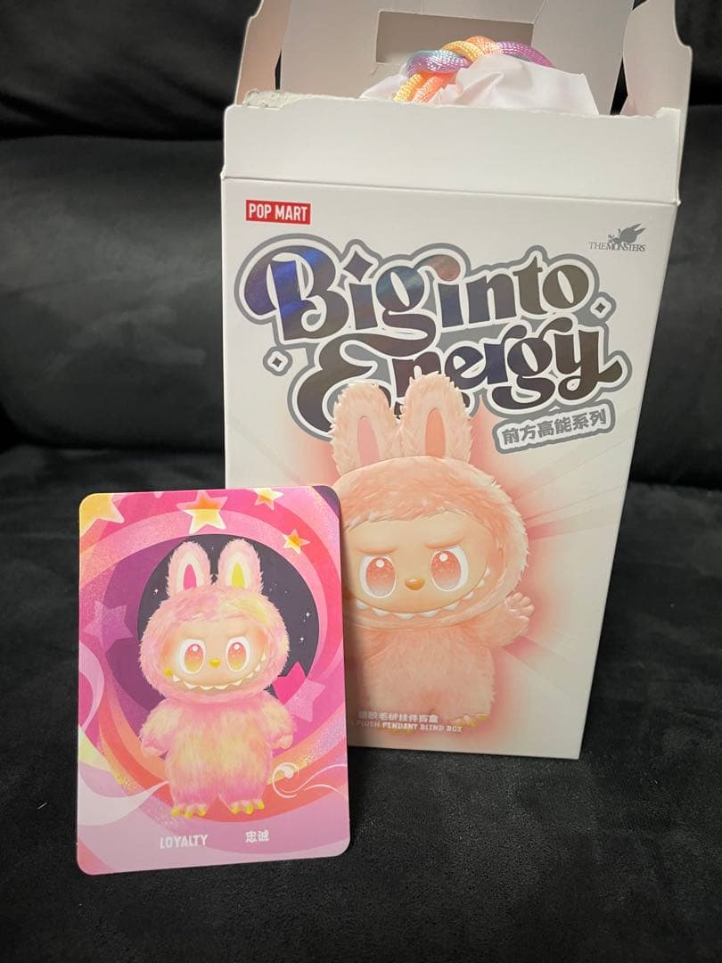 POP MART Labubu Big into Energy 4点セット