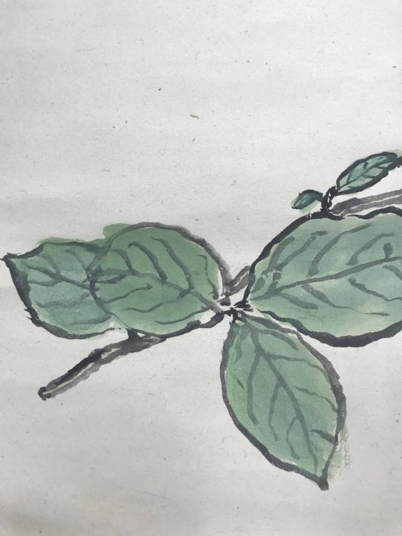 【真作】武者小路実篤/花図/横物/掛軸/名家伝来/AC-143