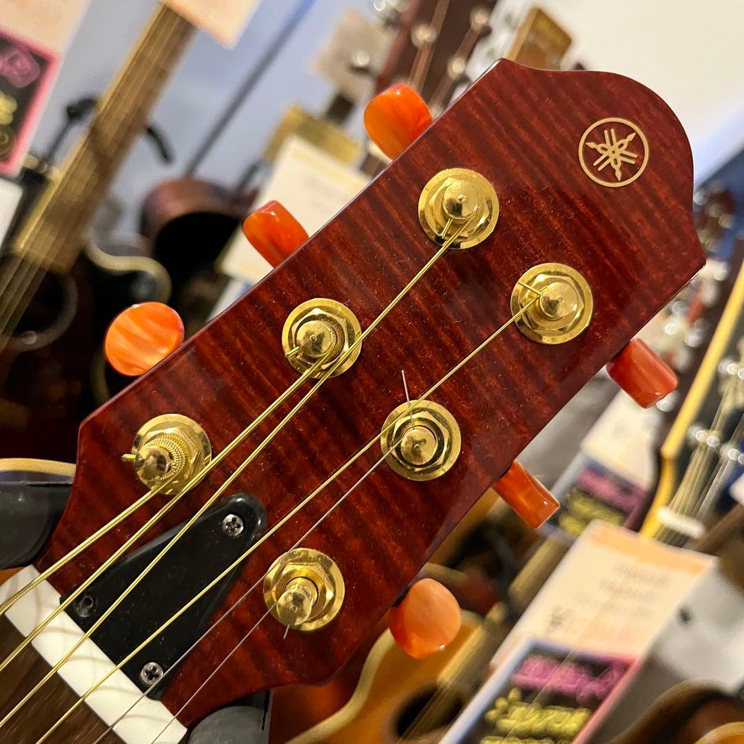 【11178】限定モデル YAMAHA SLG110S fm rtb