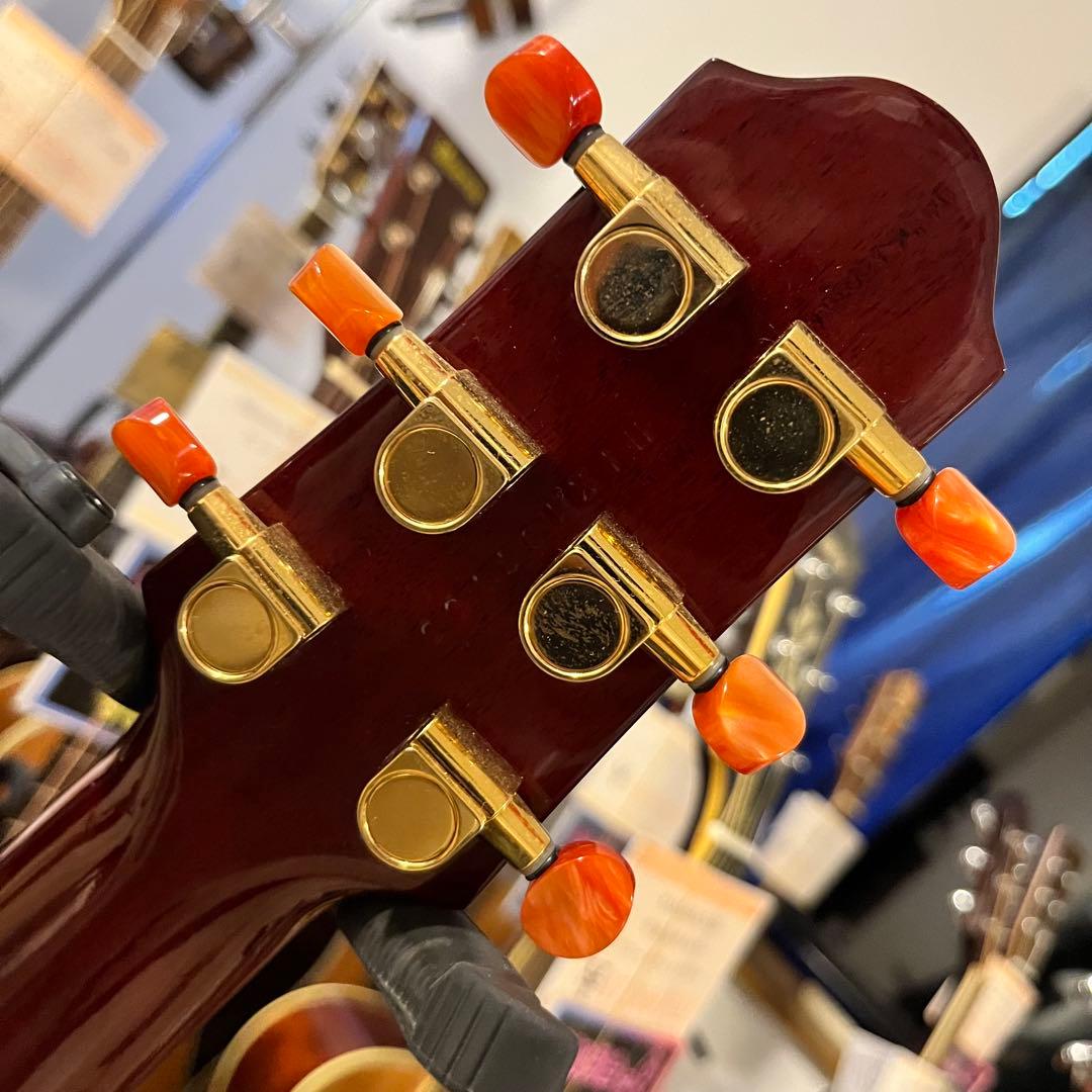 【11178】限定モデル YAMAHA SLG110S fm rtb