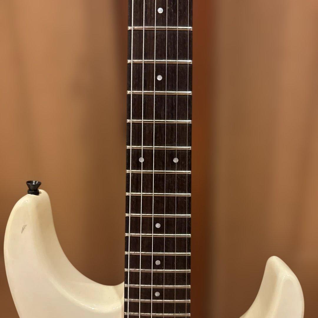 FERNANDES FR-55 GOTOHペグ アーム付 新品弦張替済