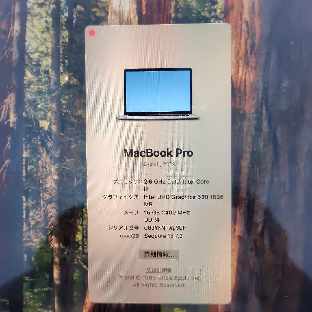 【充電器、箱付属！】MacBookPro15インチ 2019 サムライ
