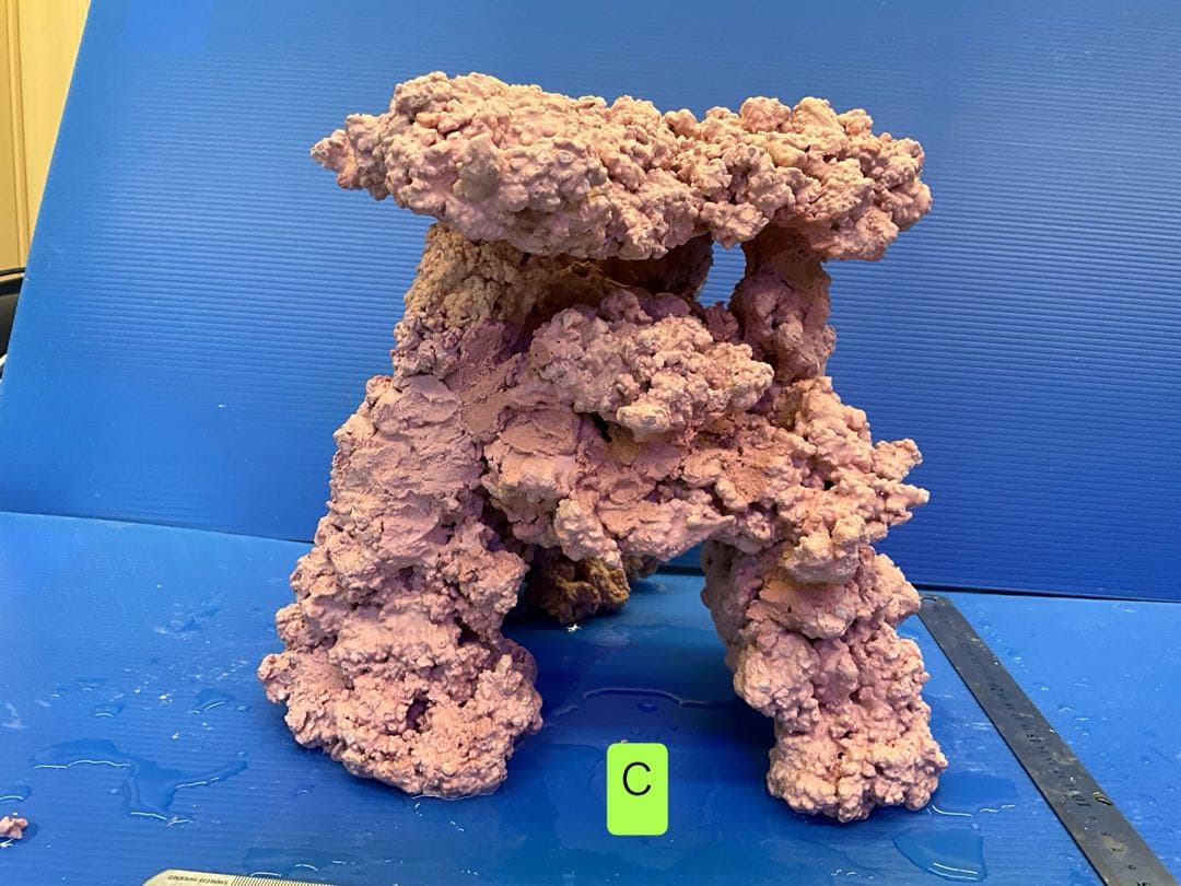 人工ライブロック　No.14 アク抜き済