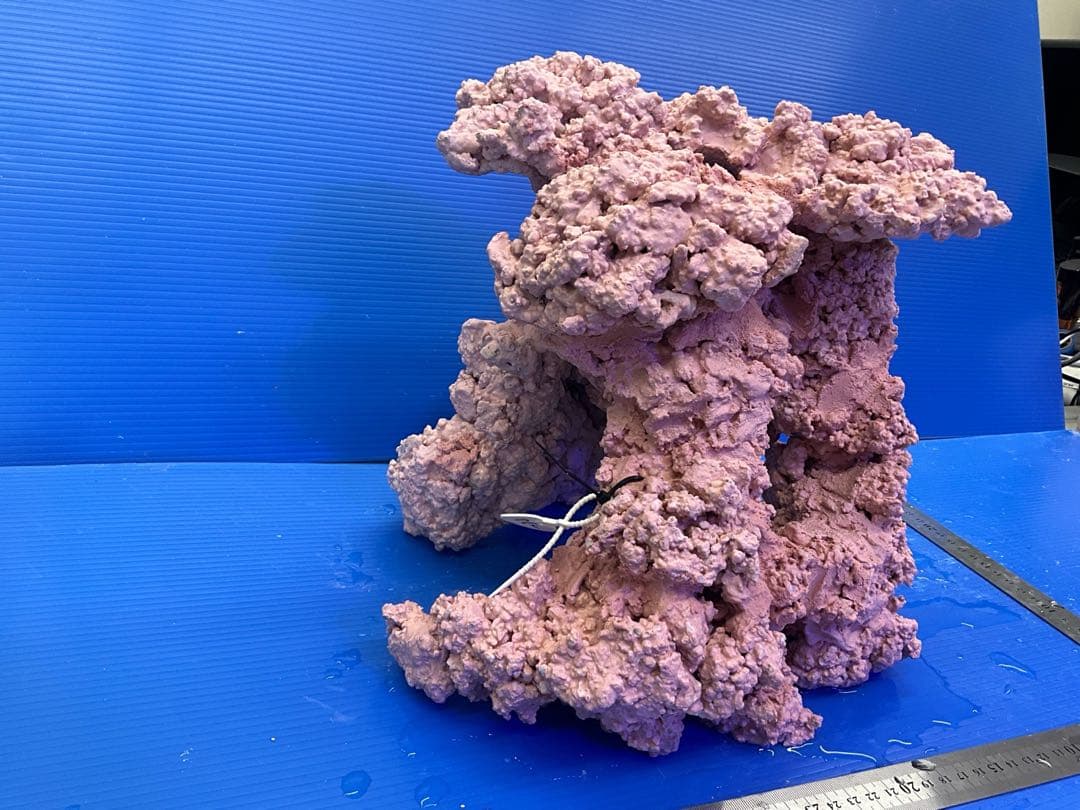 人工ライブロック　No.14 アク抜き済