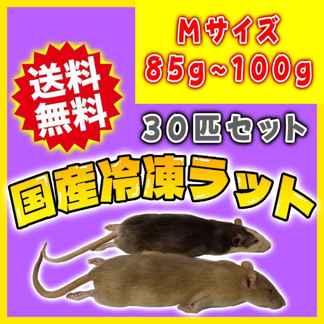 個包装 冷凍ラット 30匹セット 85~100g