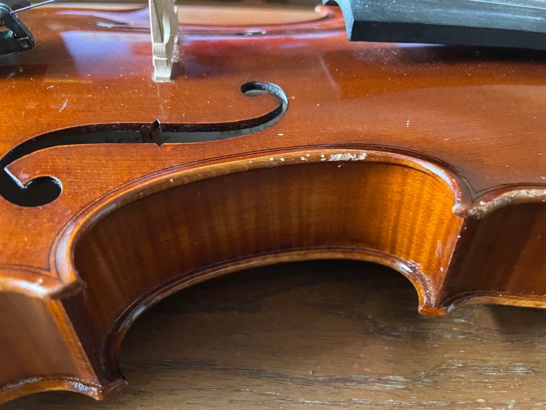 Roderich Paesold 804A ペゾルト 4/4 バイオリン