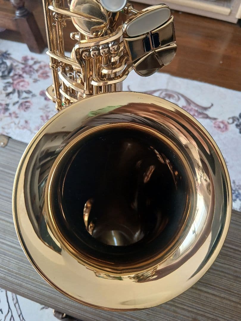 管楽器・吹奏楽器 Buffet Crampon S1