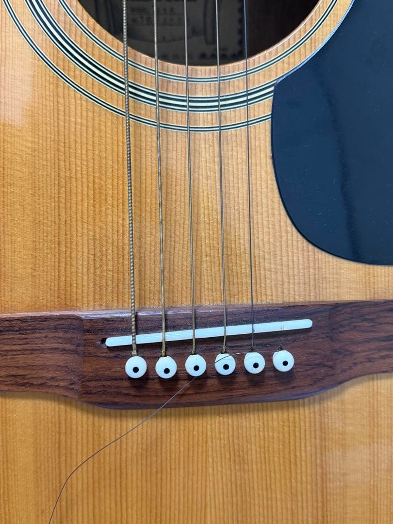 WESTONE W15 アコースティックギター 日本製 Matsumoku