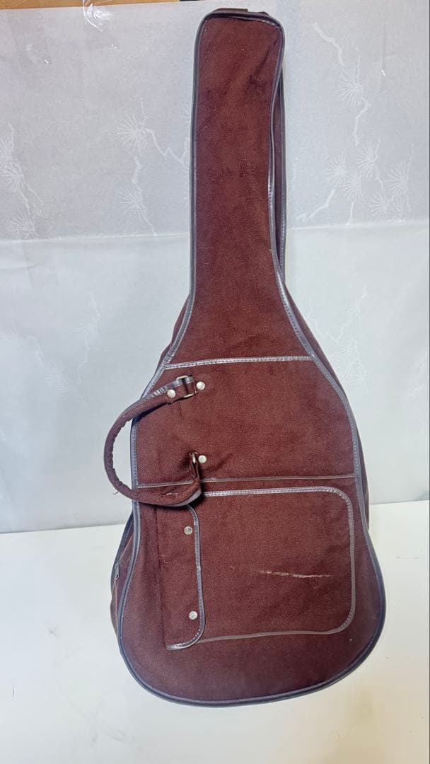 VESTER MANIAC エレキギター