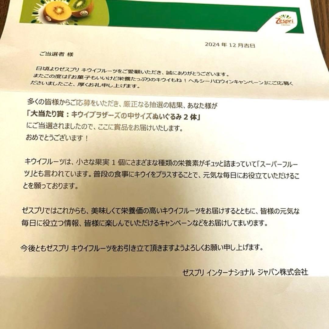 【新品＊非売品】ゼスプリ キウイブラザーズ　ぬいぐるみ 2体セット 中サイズ