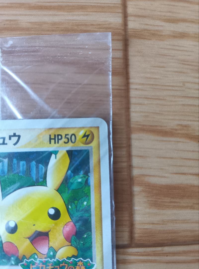 （未開封）ポケパーク ピカチュウプロモ