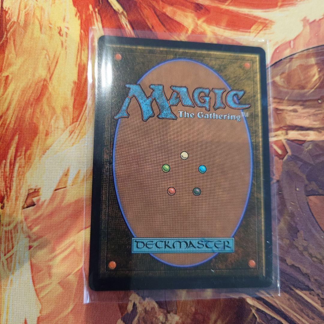 MTG　霧深い雨林　日本語版　ドラゴンスケイル