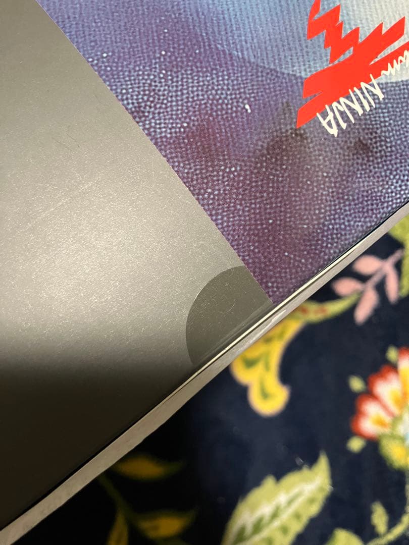 リボルテック NINJA GAIDEN2 リュウ・ハヤブサ 直営店特典付未開封品