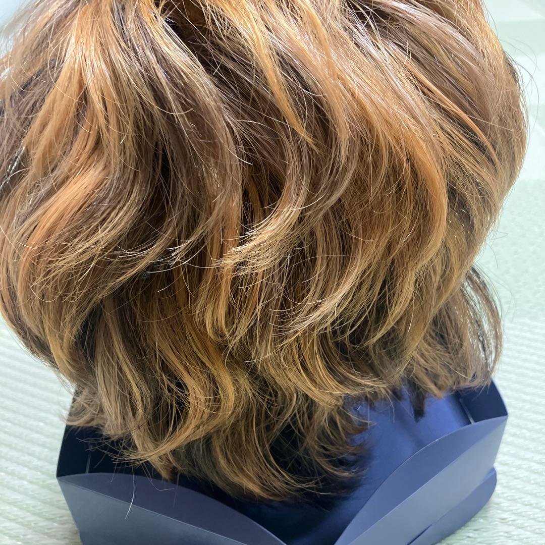 VALAN ヴァラン 人毛 ウィッグ ブラウン系 クリップ付き 中古