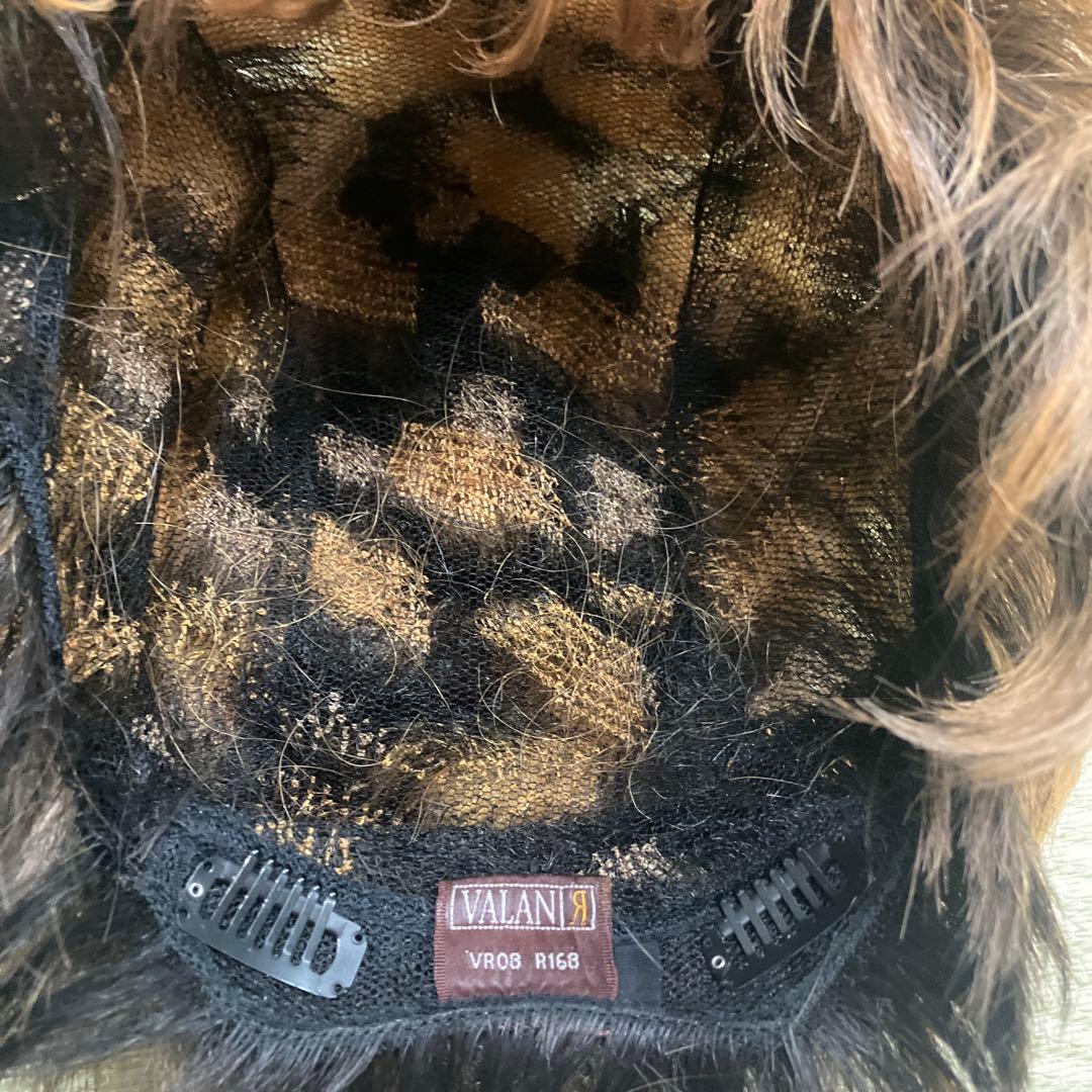 VALAN ヴァラン 人毛 ウィッグ ブラウン系 クリップ付き 中古