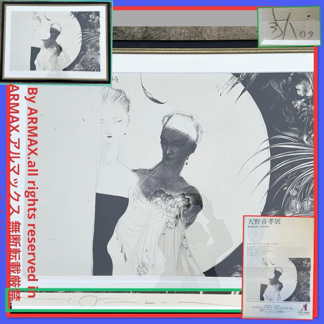 2190様感謝‼️幻想の絵師‼️天野喜孝「月夜」鉛筆直筆署名リトグラフ➕特大パンフ