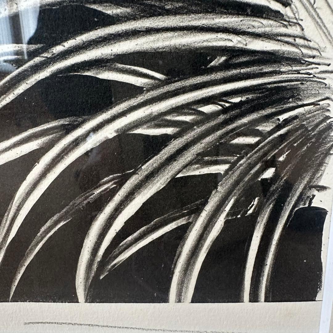 2190様感謝‼️幻想の絵師‼️天野喜孝「月夜」鉛筆直筆署名リトグラフ➕特大パンフ