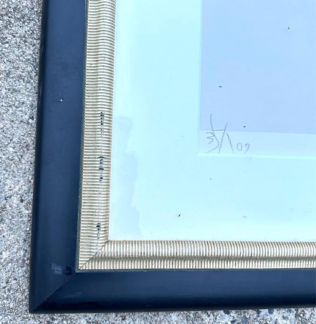 2190様感謝‼️幻想の絵師‼️天野喜孝「月夜」鉛筆直筆署名リトグラフ➕特大パンフ