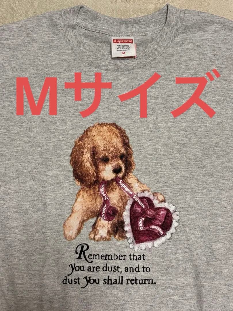 トップス Supreme Dust Tee Ash Grey