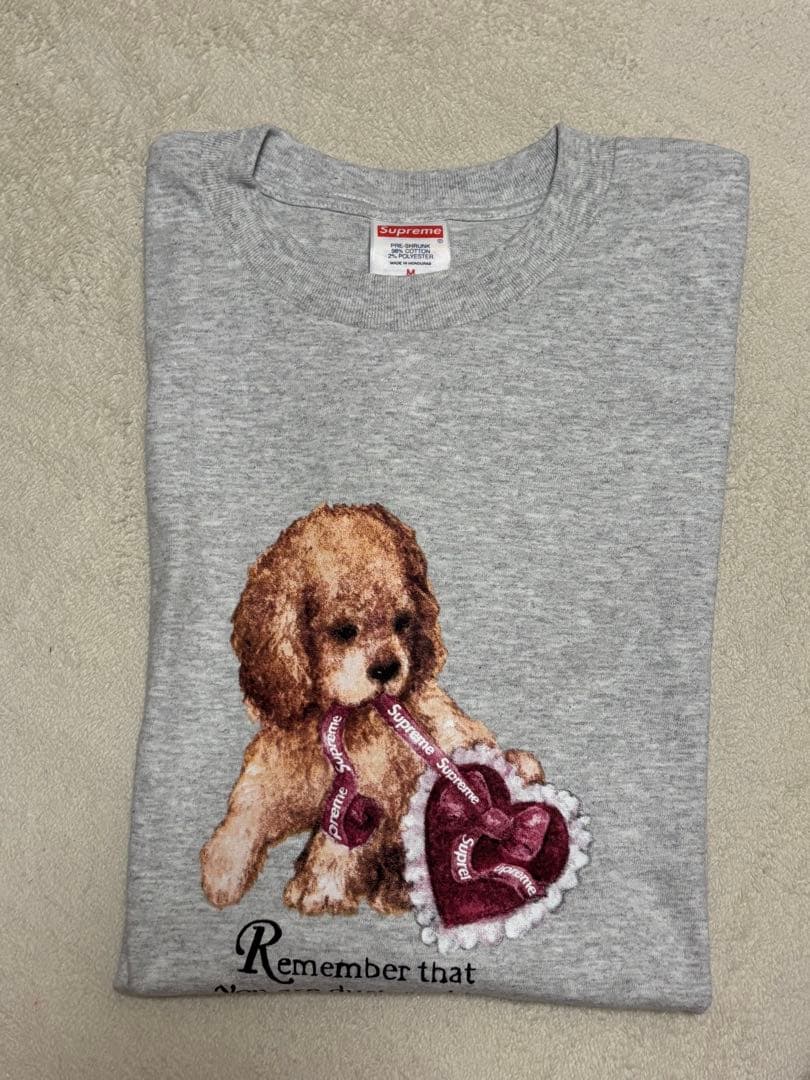 トップス Supreme Dust Tee Ash Grey