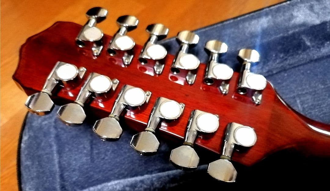 ★希少★Gibson / Epiphone PR350-12E ★エレアコ♪