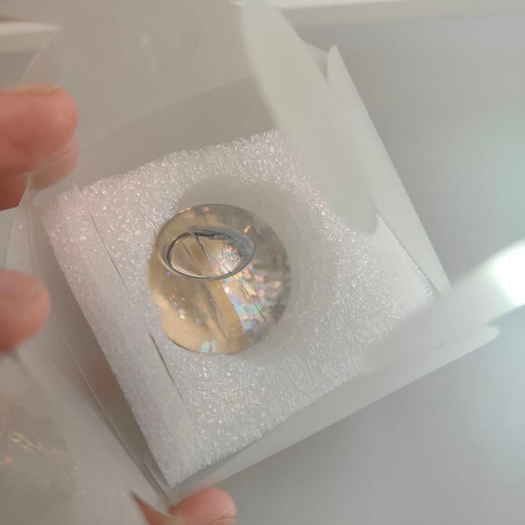 激レア！希少！まるもふびより　スノードーム