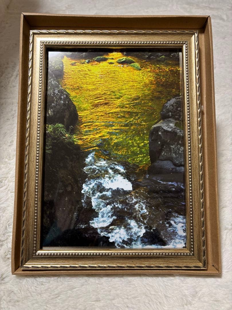 幸せを呼ぶ金色の水面❣️ 高田進先生（美術文化協会員）　自然風景写真　金運アップ