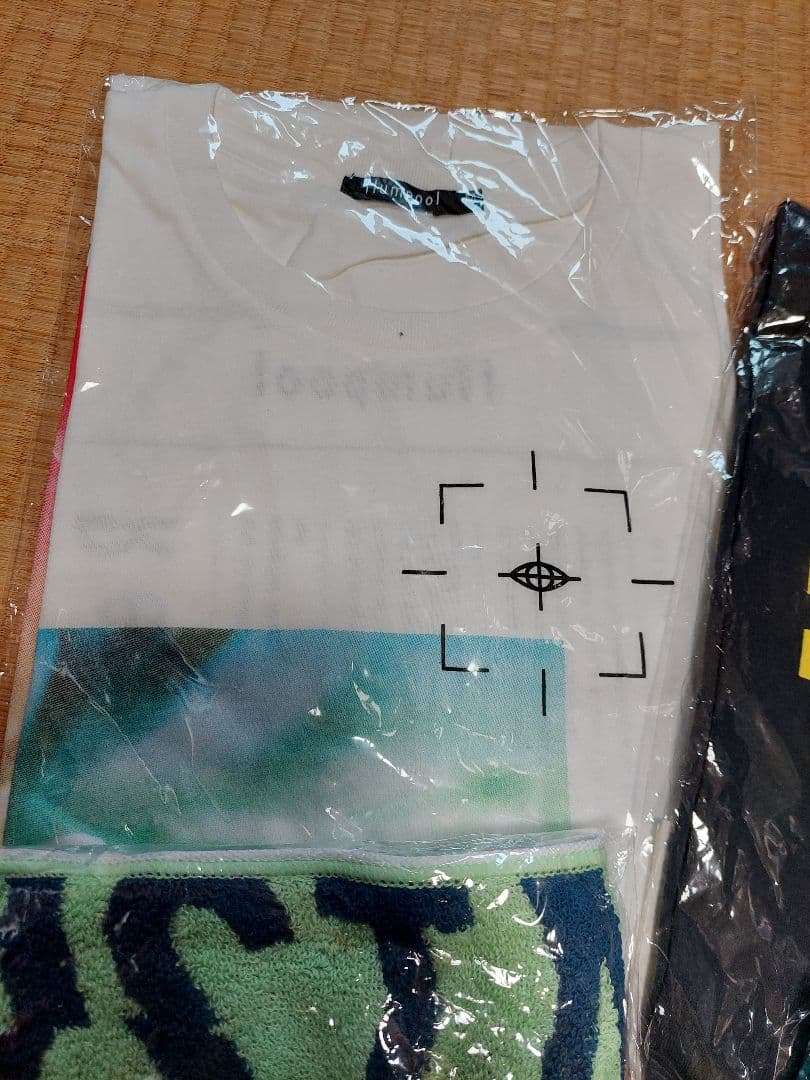 flumpoolフランプールTシャツタオル