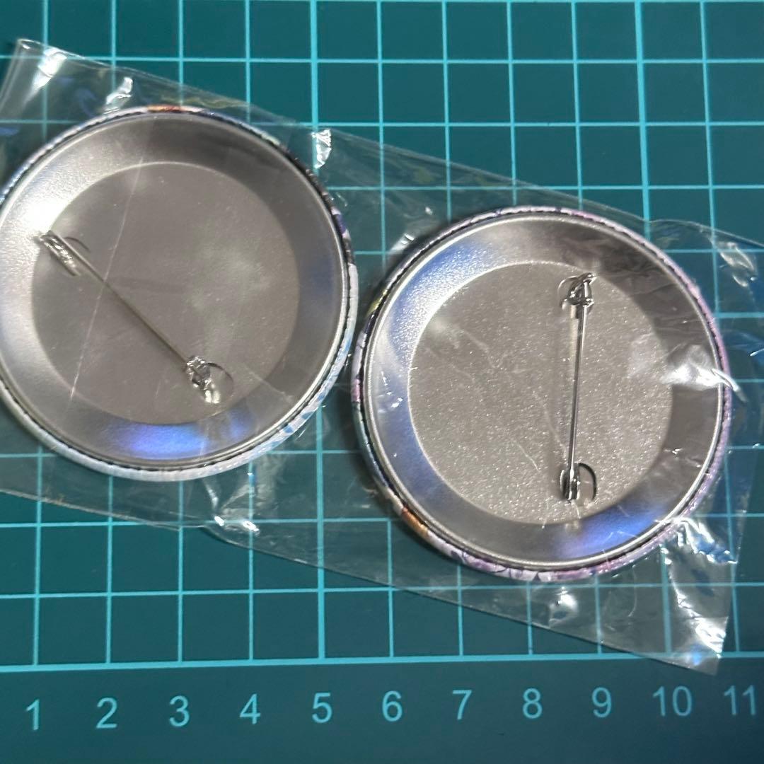 牧場物語 オリーブタウンと希望の大地　ステラワークス　購入特典缶バッジ