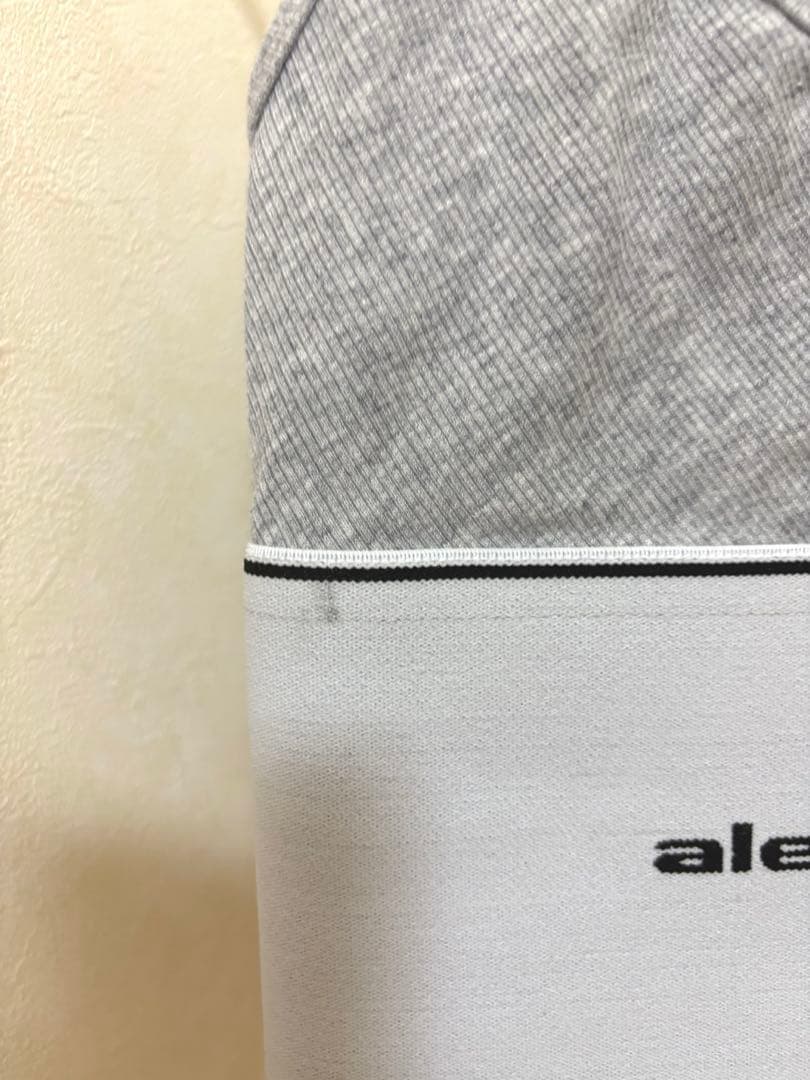 alexanderwang ロゴ入りブラトップ グレー　xxs 未使用タグ付き