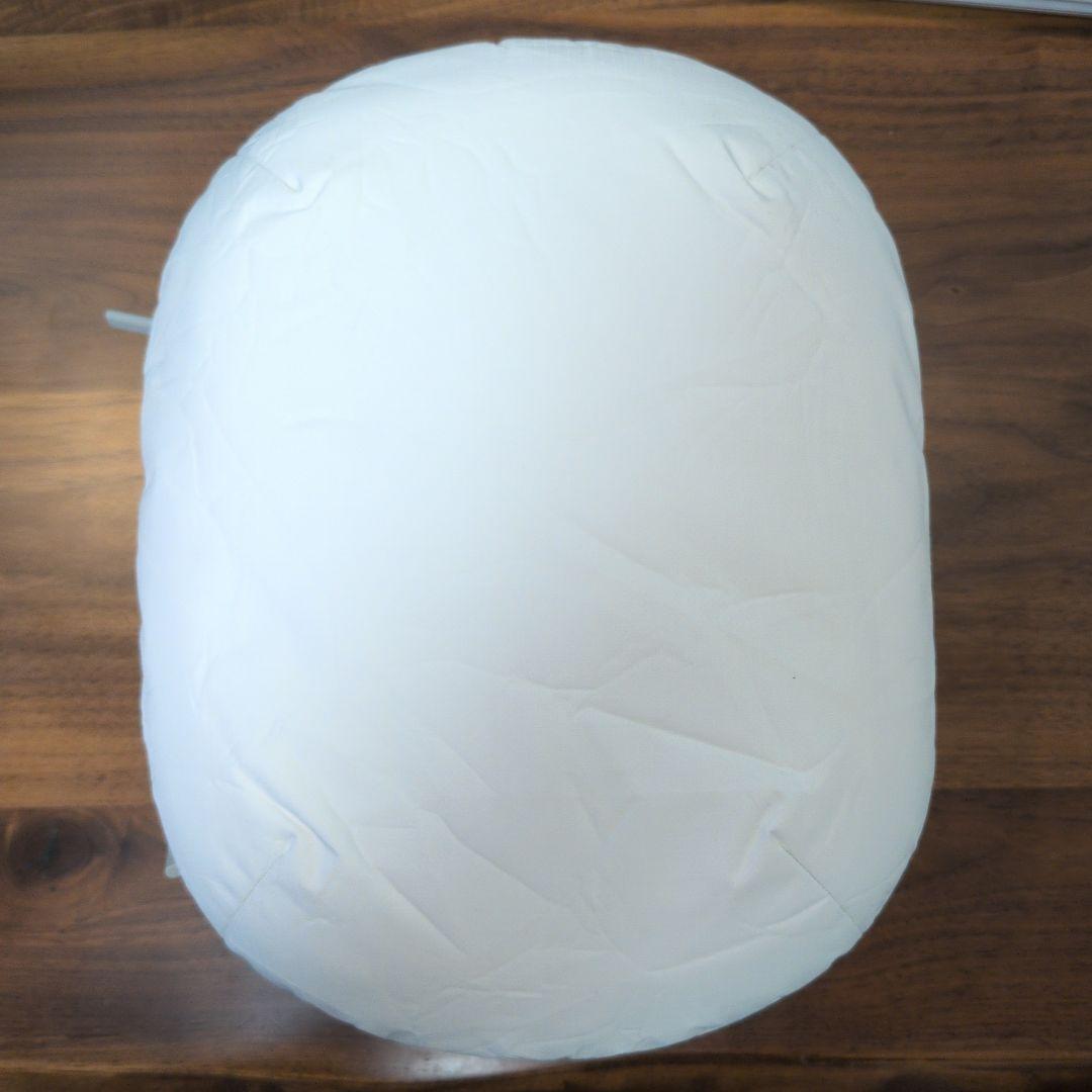 【ほぼ未使用】純正 Apple Vision Proトラベルケース