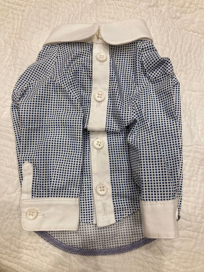 アトリエgg 正統派 色襟 シャツ