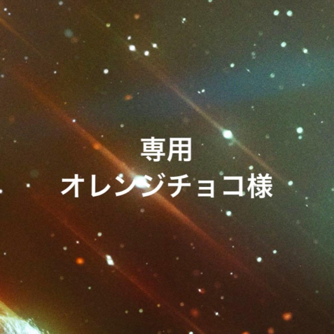 専用ページ オレンジチョコ様1/23