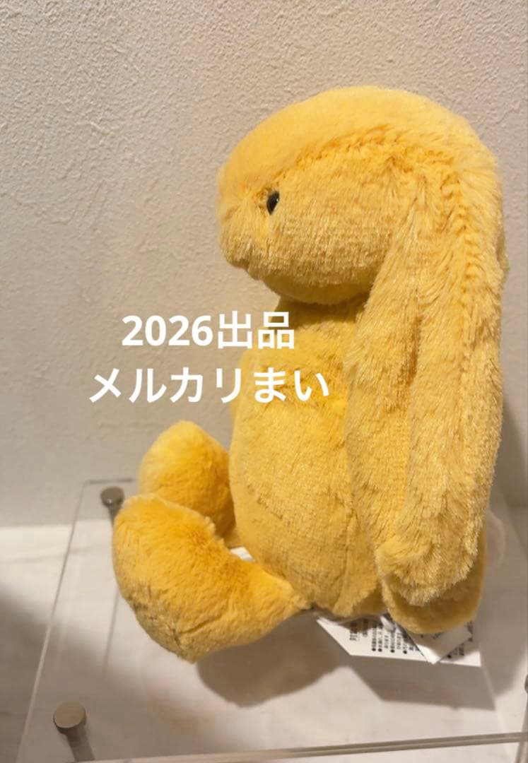  Little Bashful Sunshine Bunny 兎