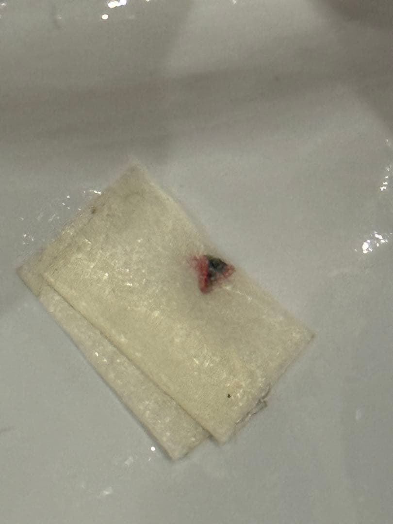 セット売り 真骨彫製法 仮面ライダーキバ 仮面ライダーキバ エンペラーフォーム