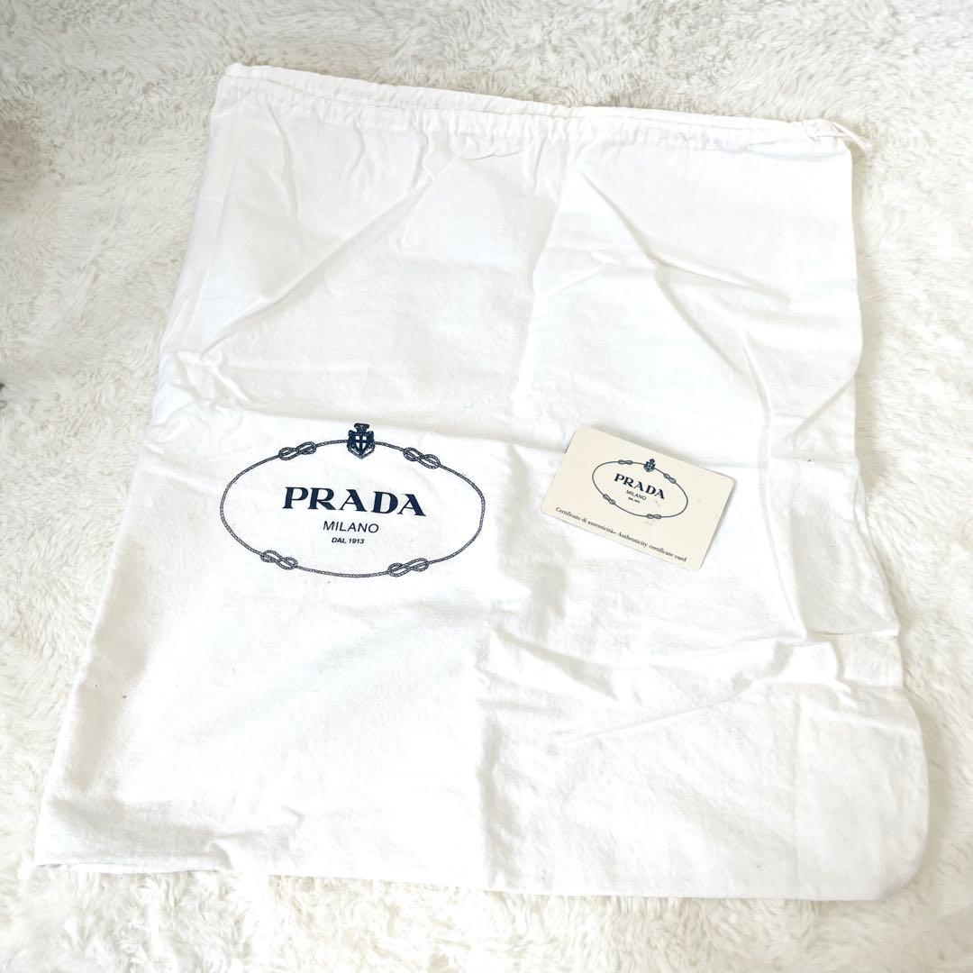 【極希少★】プラダ ハンドバッグ アニス ポコノ anice 三角ロゴ プレート